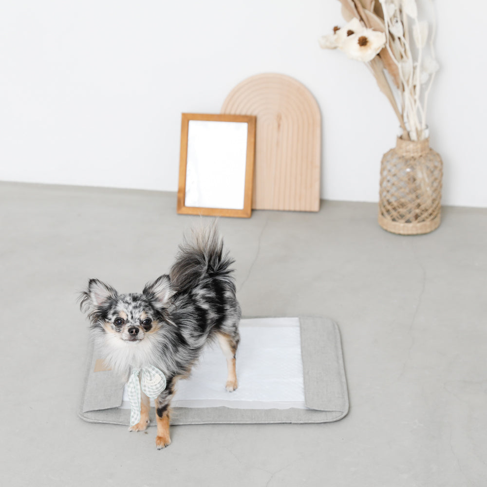 Magnetic detachable pet toilet seat