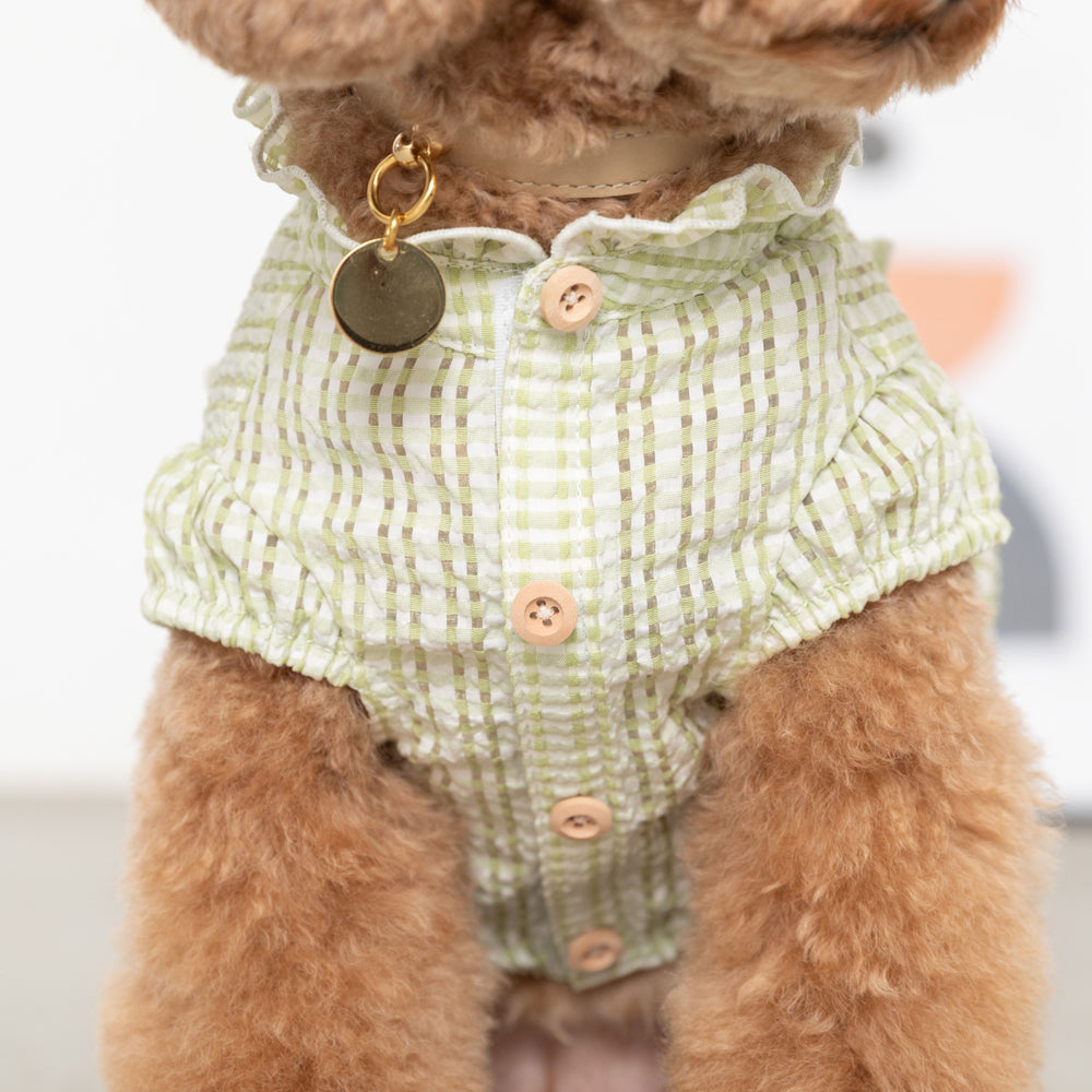 シアーチェックフリルボタンシャツ