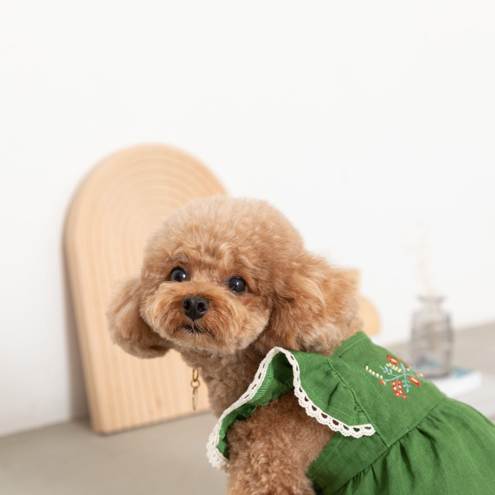 Embroidered flower linen dress