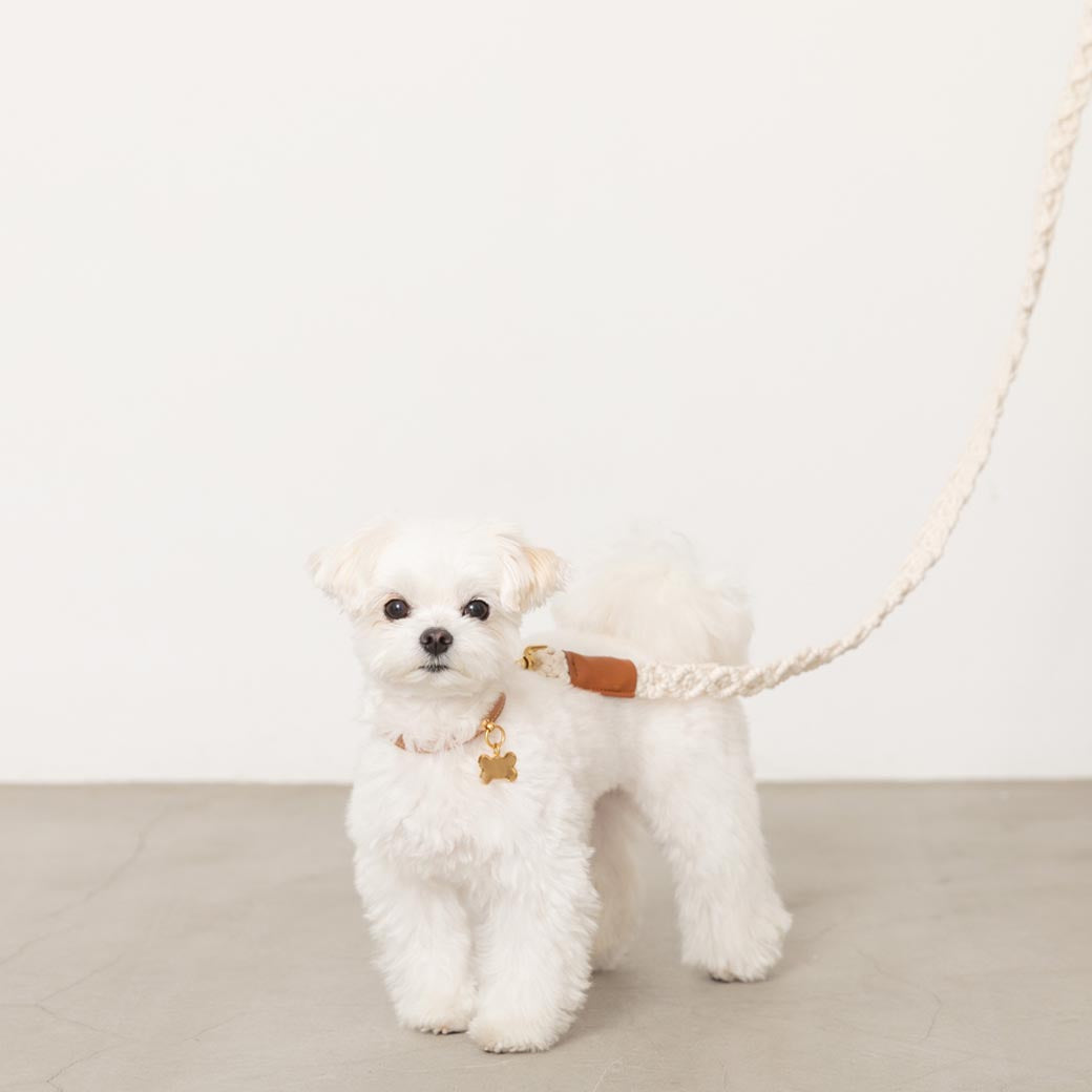 マクラメエコレザーリード