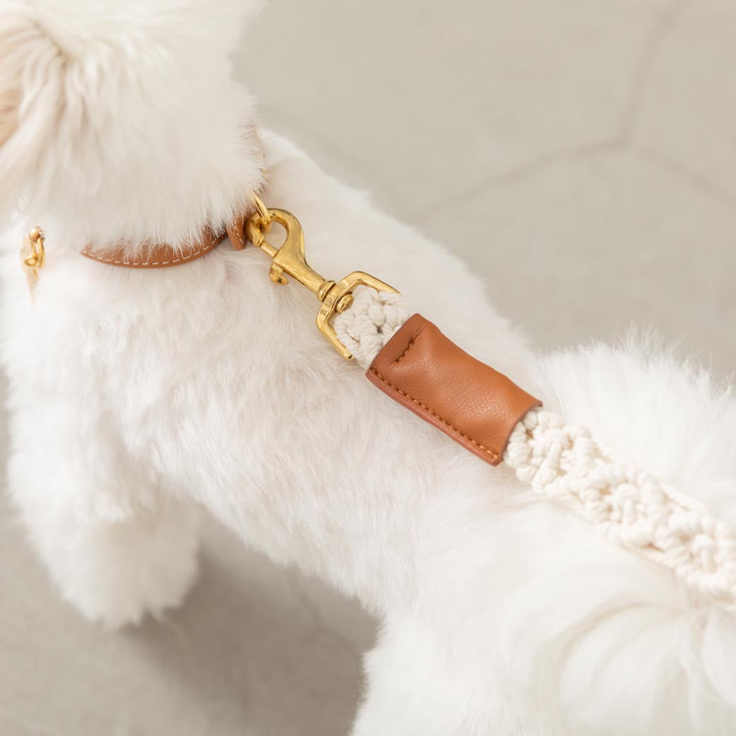 マクラメエコレザーリード