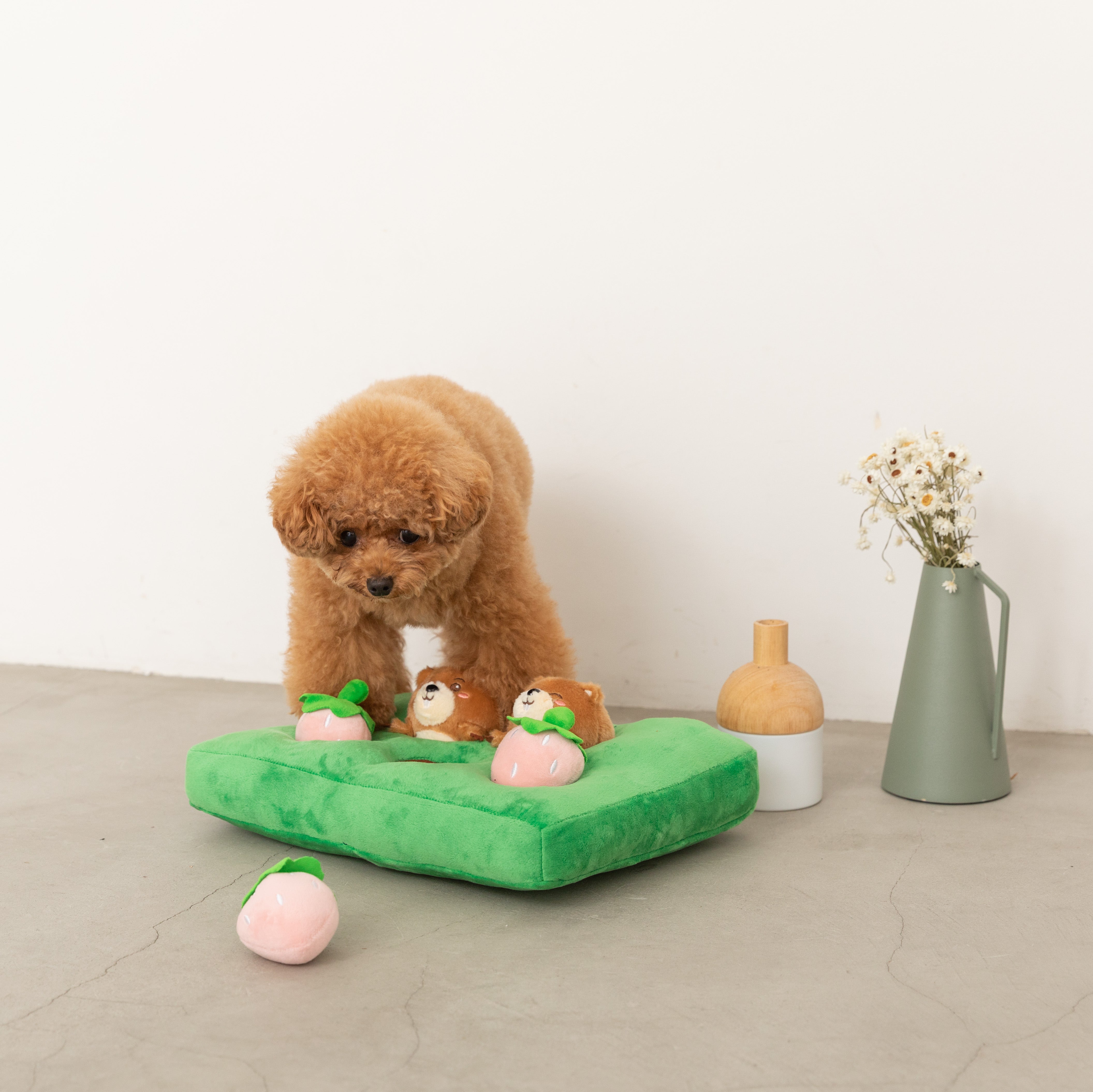Nosework strawberry and forest animal toys