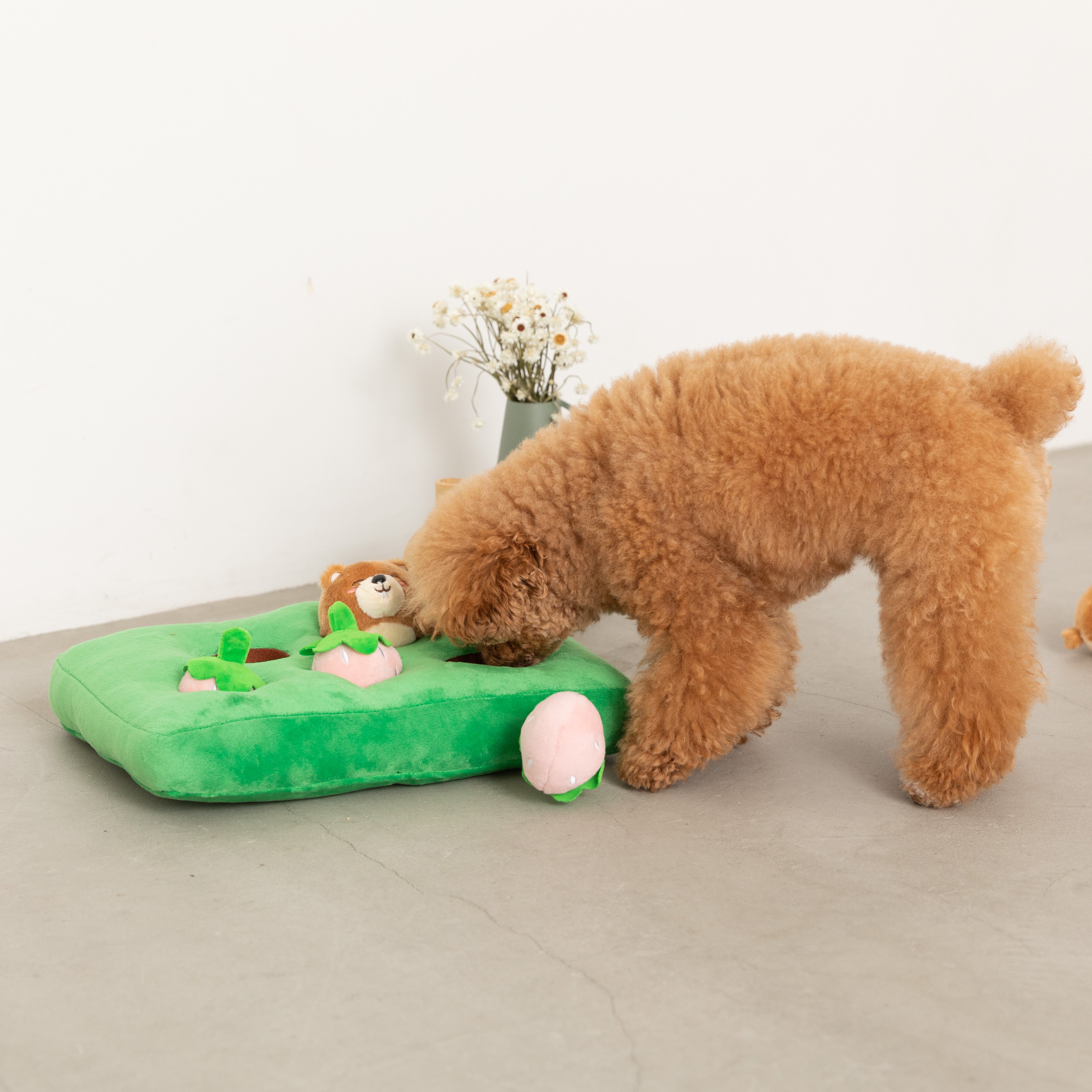 Nosework strawberry and forest animal toys