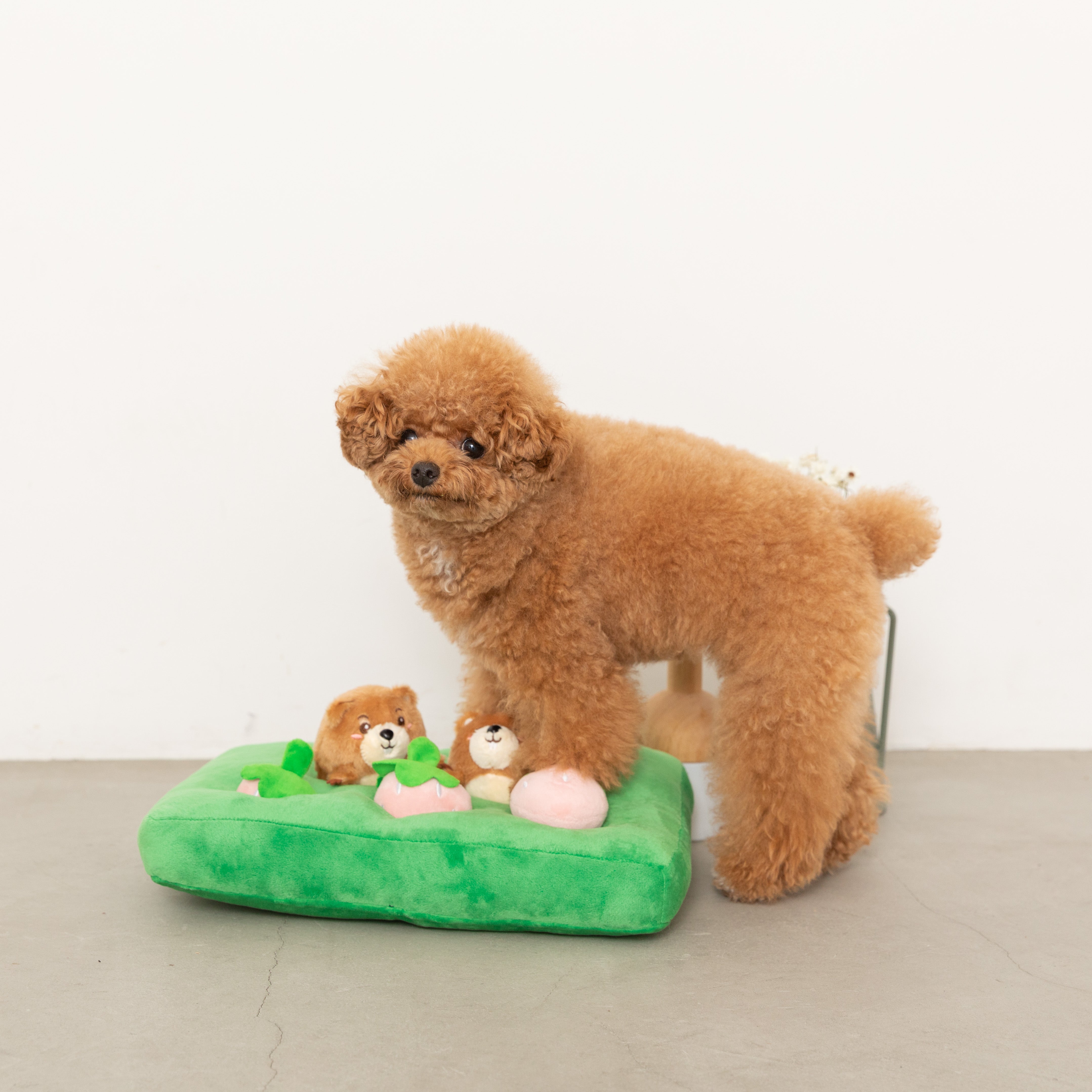 Nosework strawberry and forest animal toys