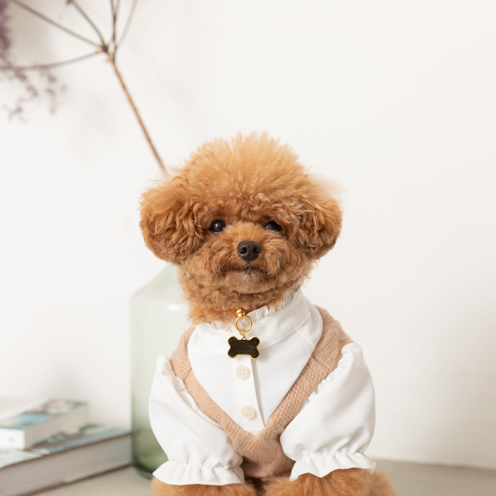Ruffle stand collar shirt with collar