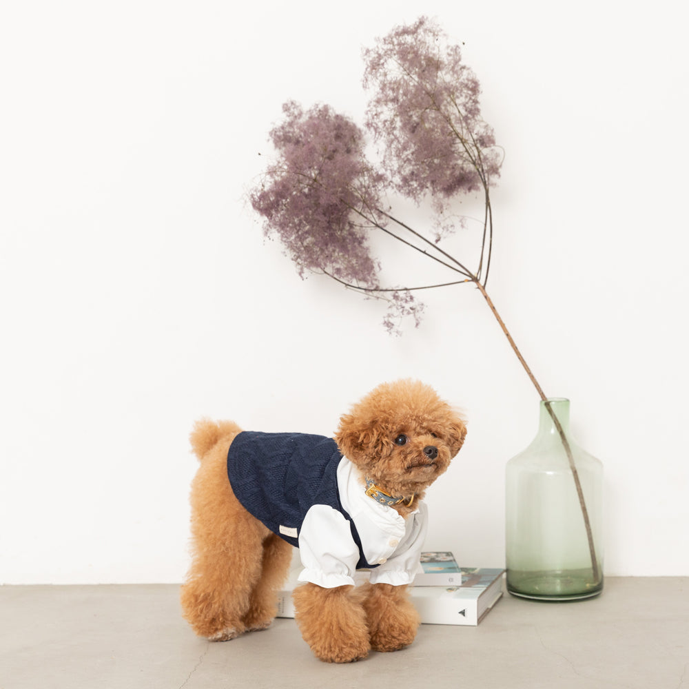 Ruffle stand collar shirt with collar