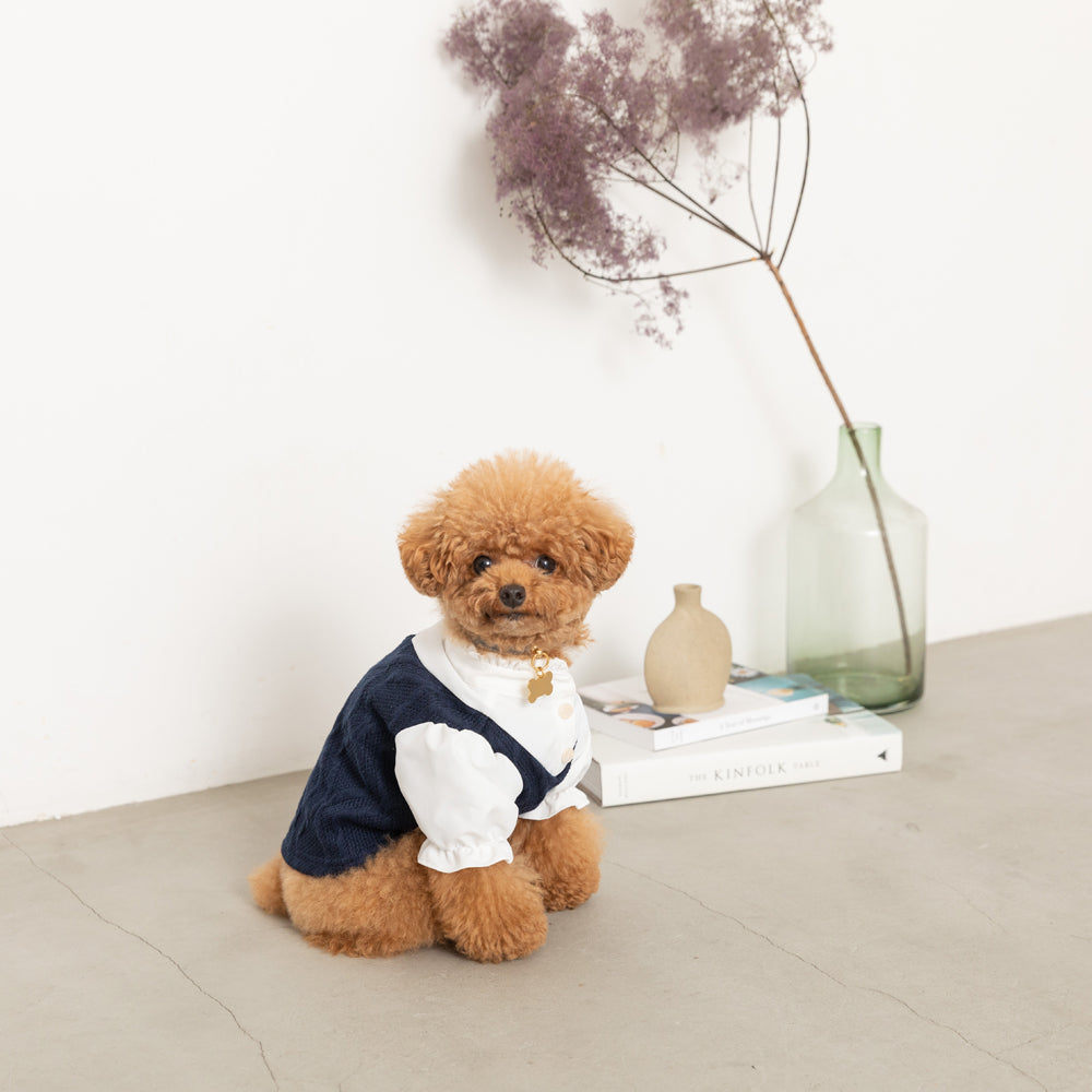 Ruffle stand collar shirt with collar