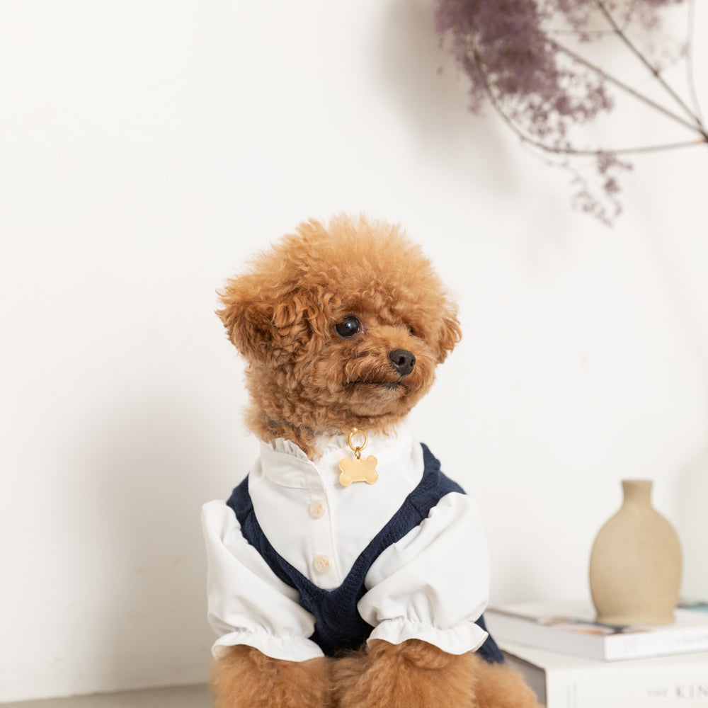 Ruffle stand collar shirt with collar
