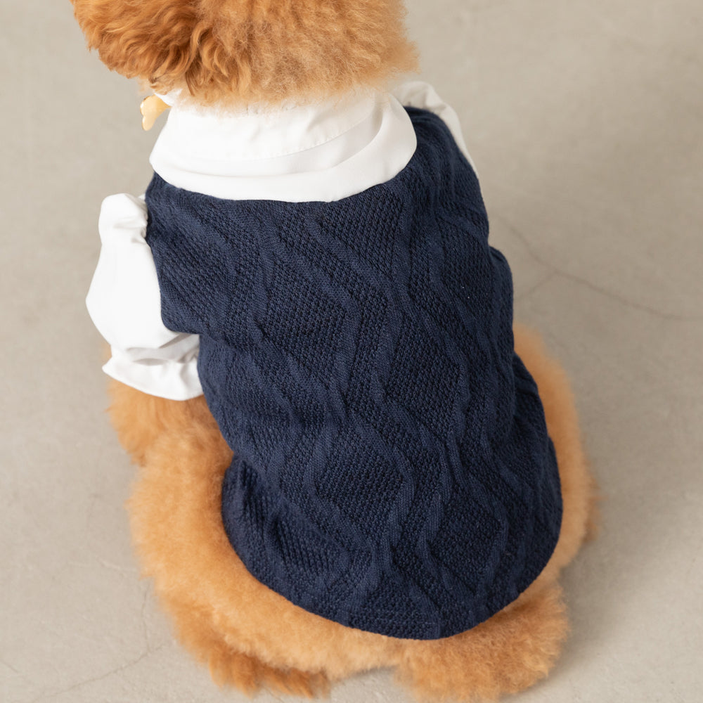 Ruffle stand collar shirt with collar