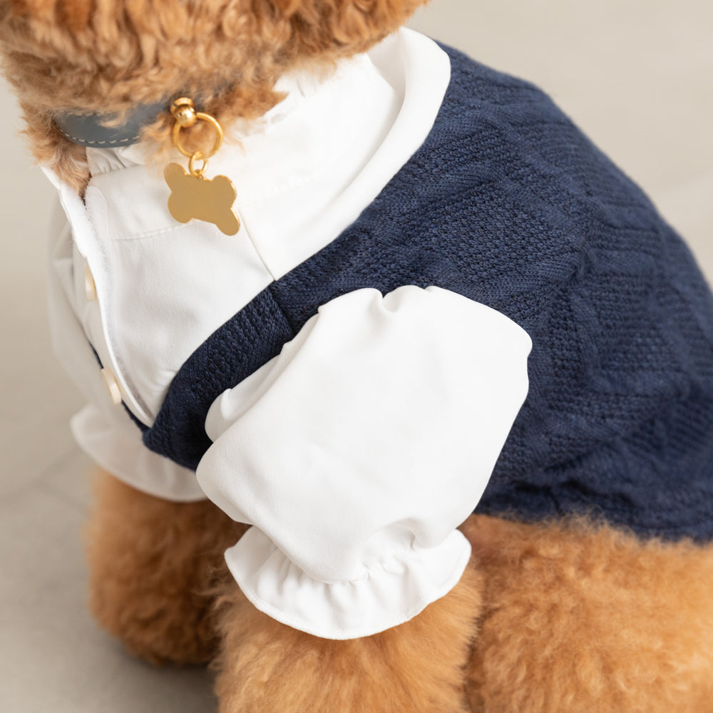 Ruffle stand collar shirt with collar