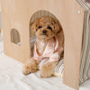 With indoor striped pet house cushion