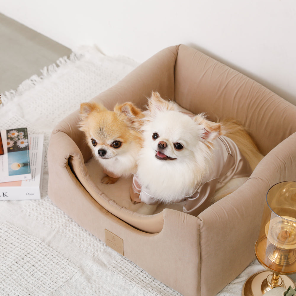 2way pet house