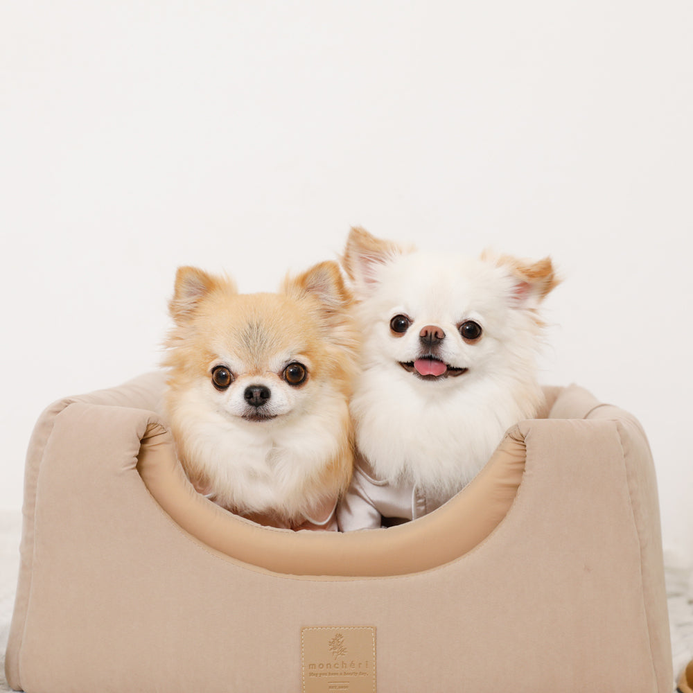 2way pet house