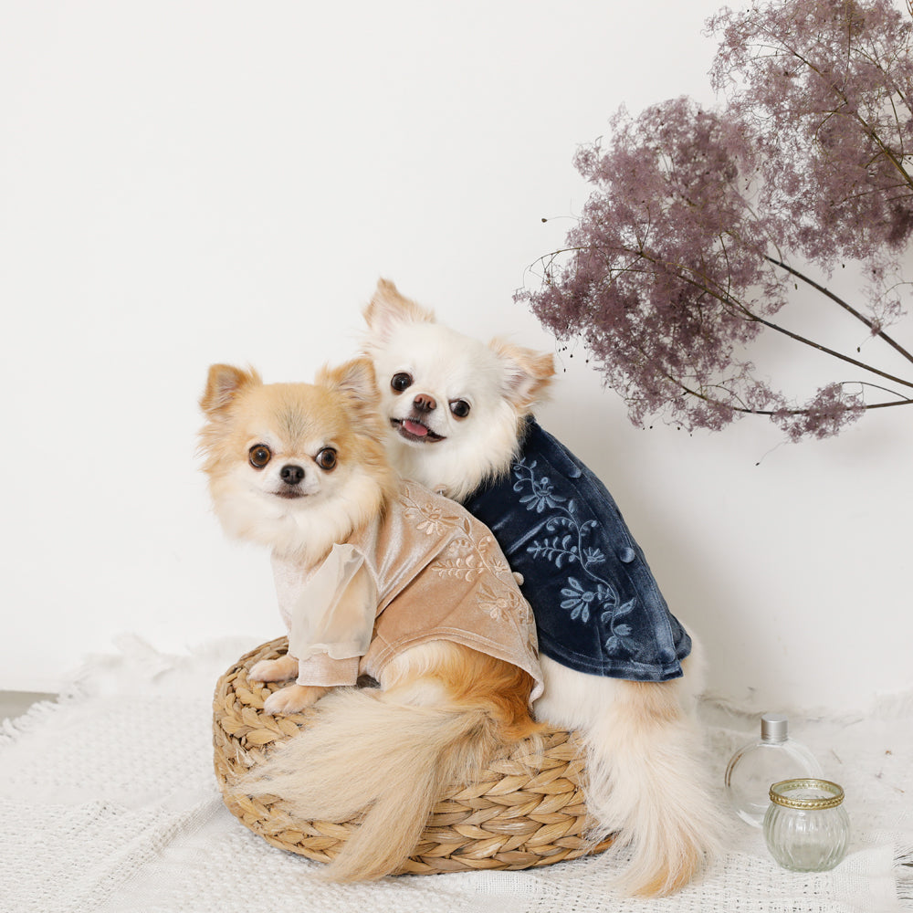 天鹅绒×长袖衬衫