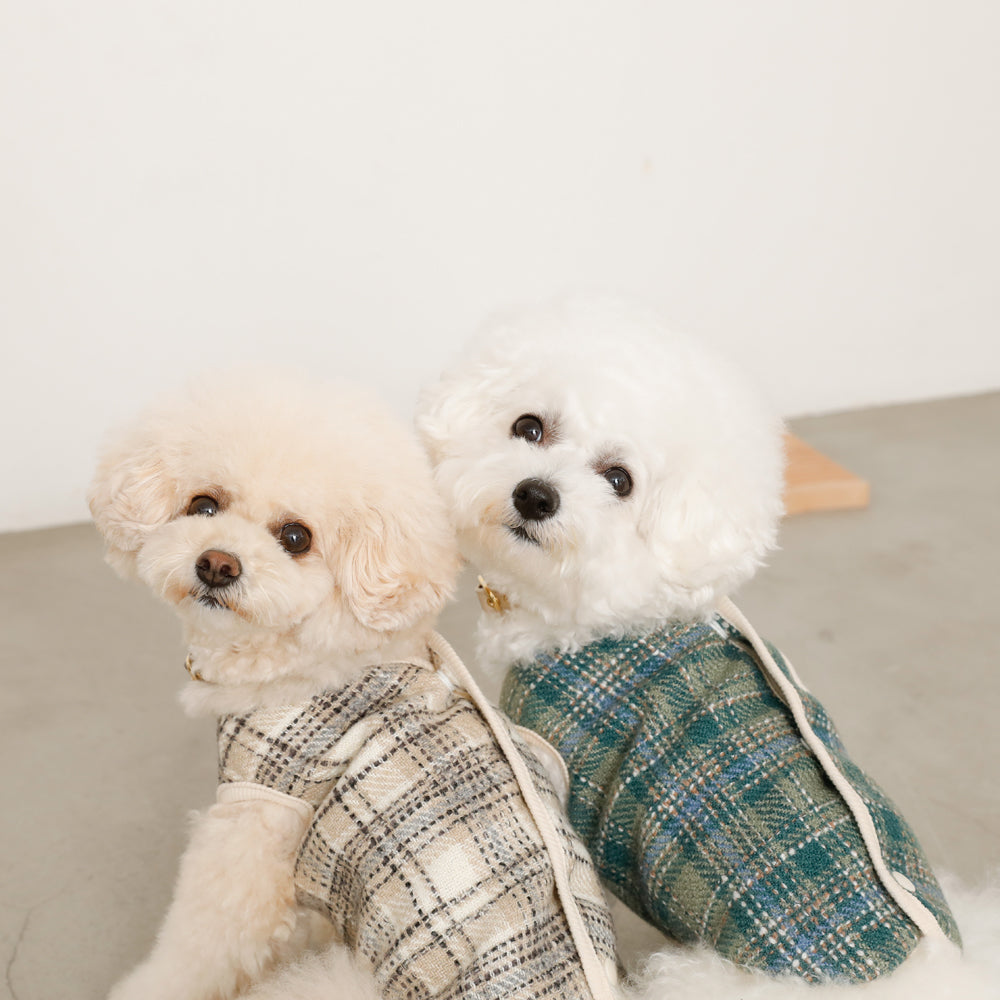 vest with check pockets