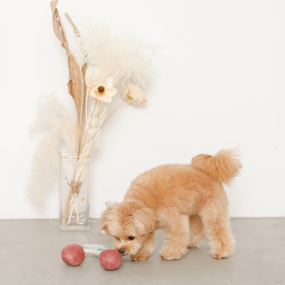 cherry rope plush toy