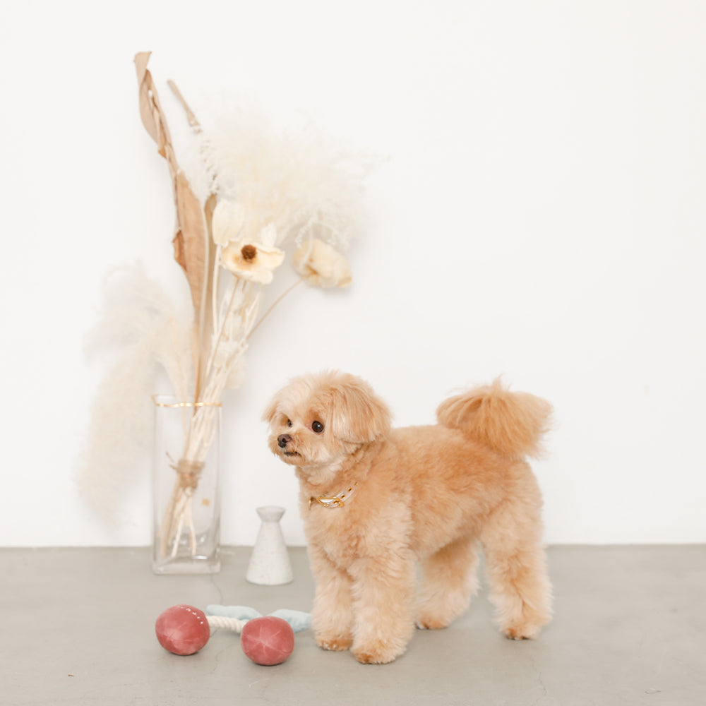 cherry rope plush toy