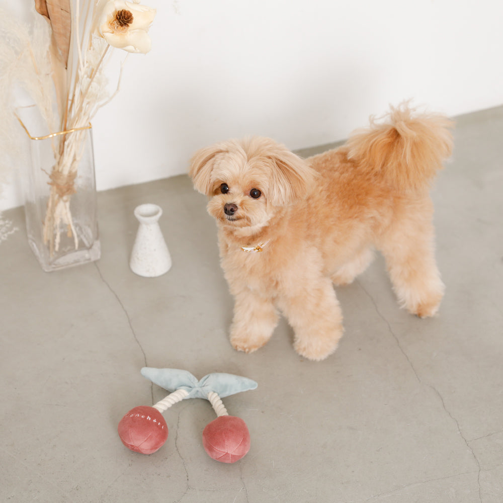 cherry rope plush toy