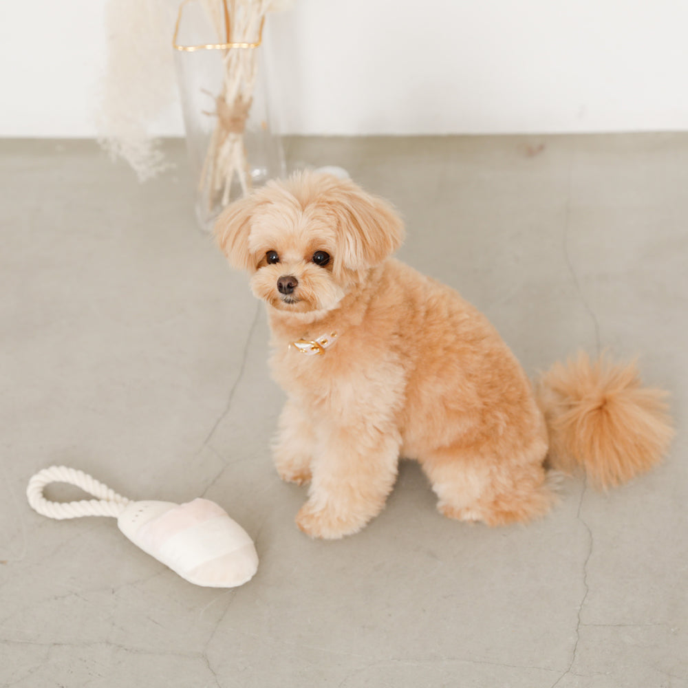 slipper rope toy