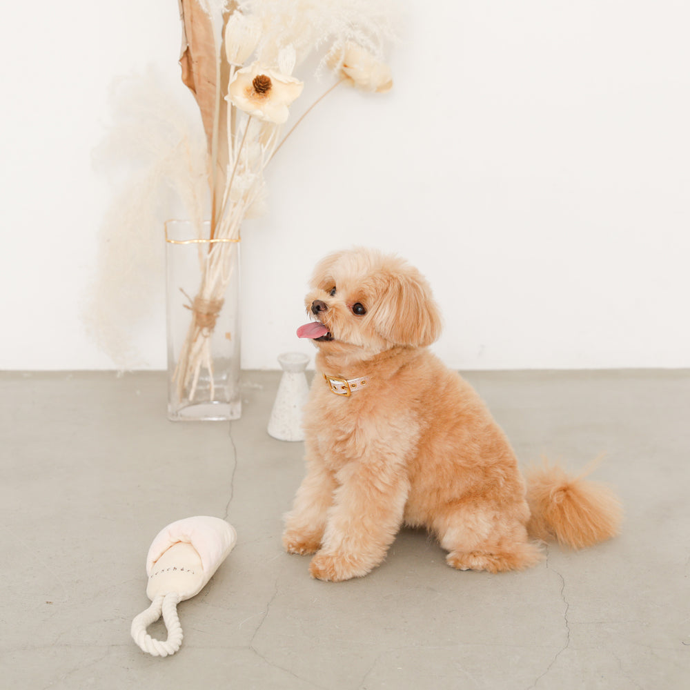 slipper rope toy