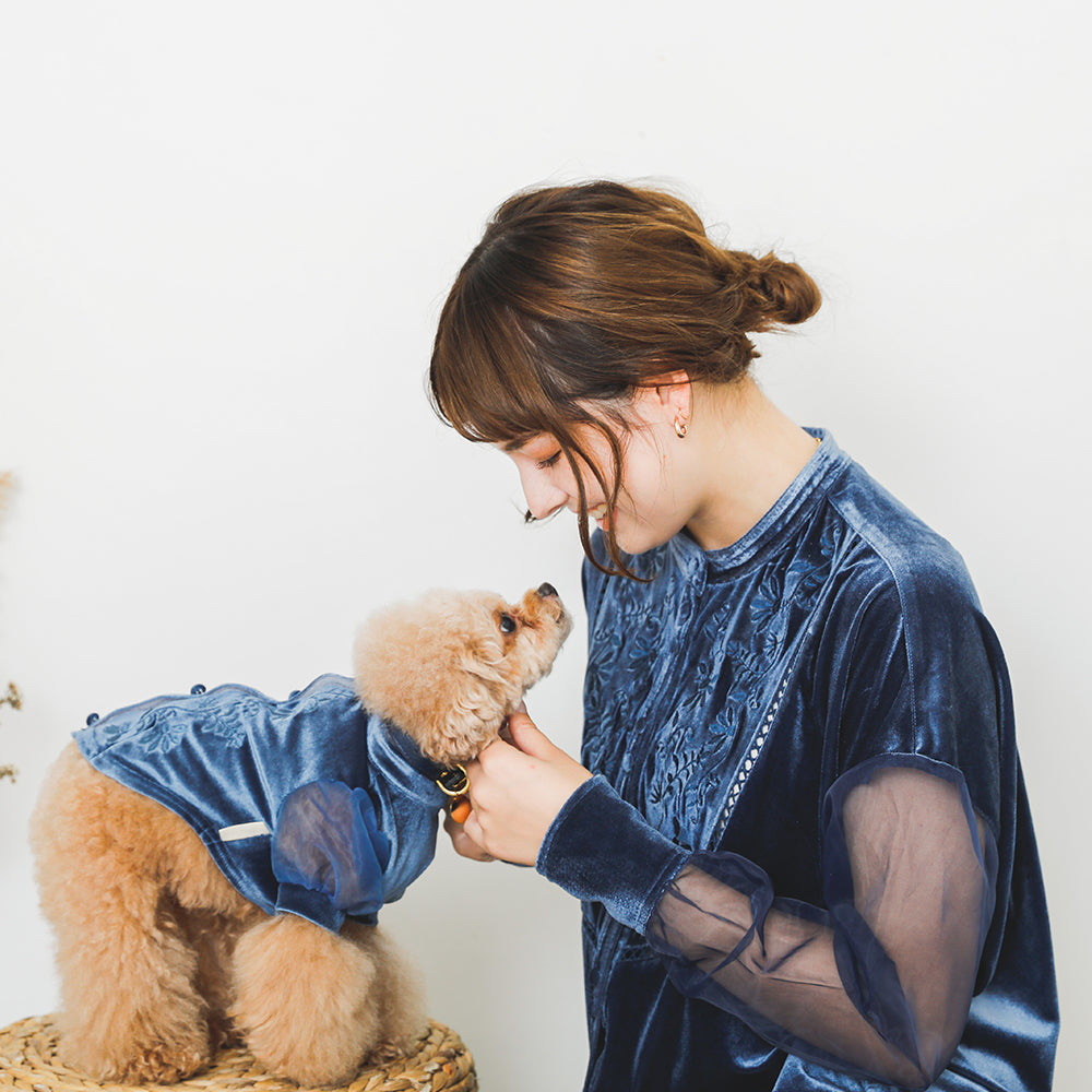 [Link coordination SET] Velor x sheer sleeve shirt