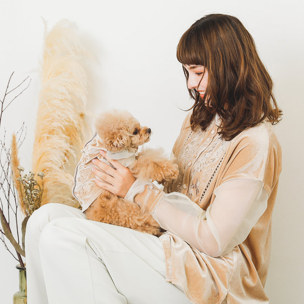 [Link coordination SET] Velor x sheer sleeve shirt