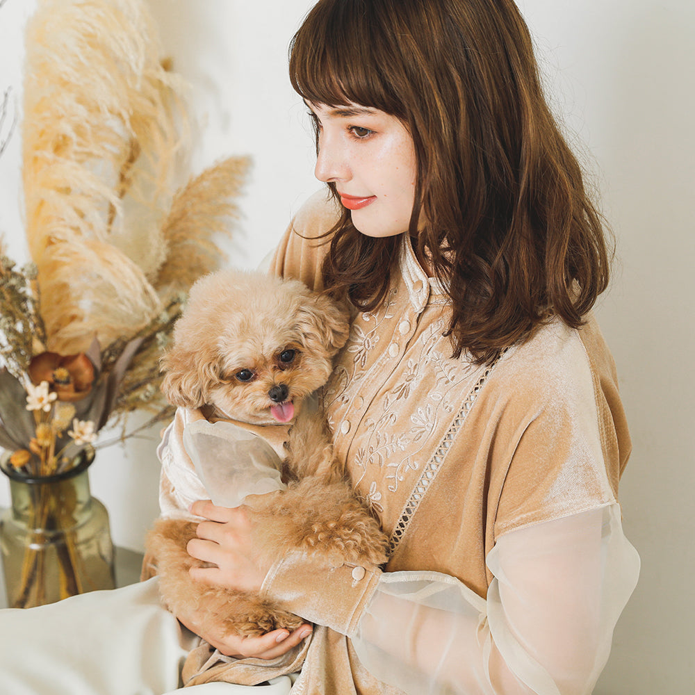 [Link coordination SET] Velor x sheer sleeve shirt