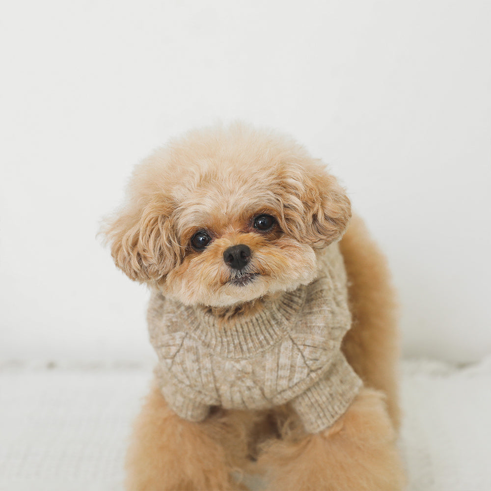 [Link Coordination SET] Wool blend twisted cable knit