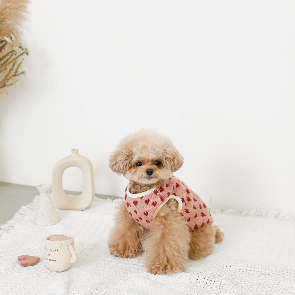 Heart pattern 2way reversible vest