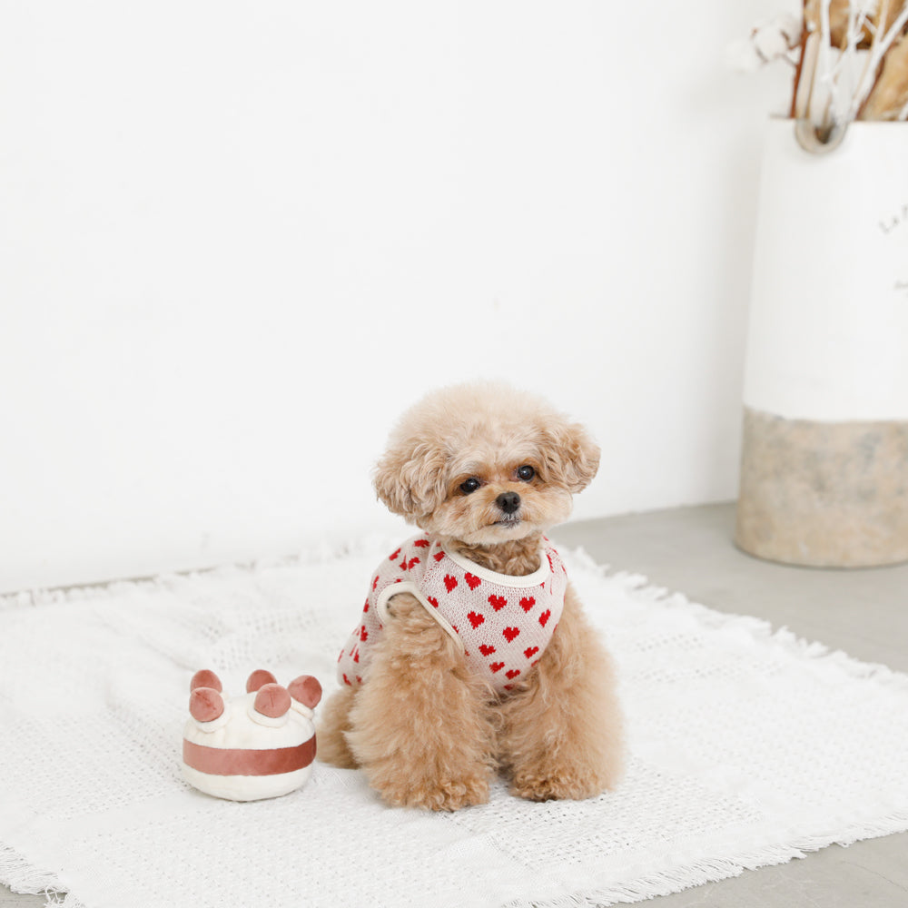 Heart pattern 2way reversible vest