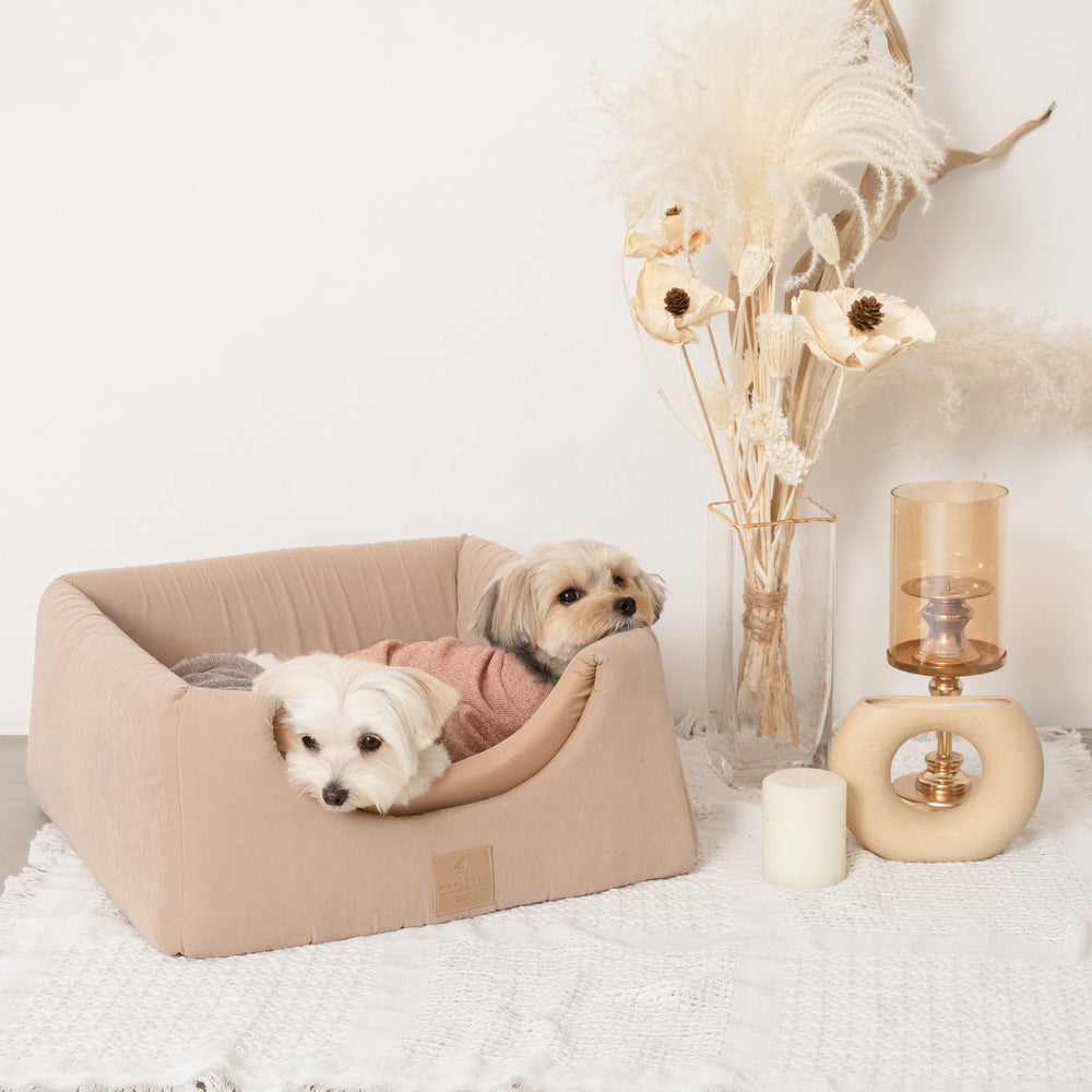 2way pet house