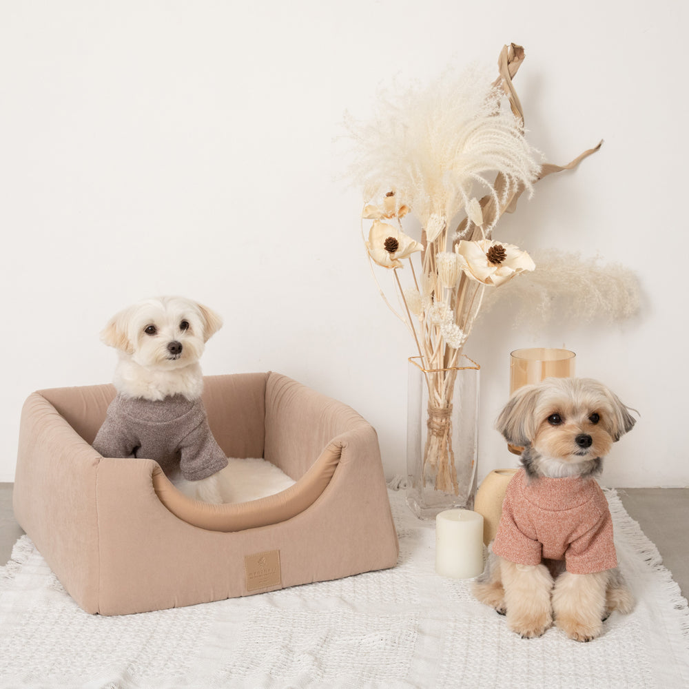 2way pet house