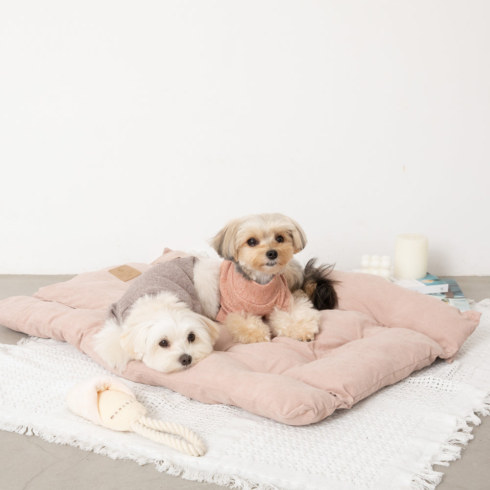 slipper rope toy