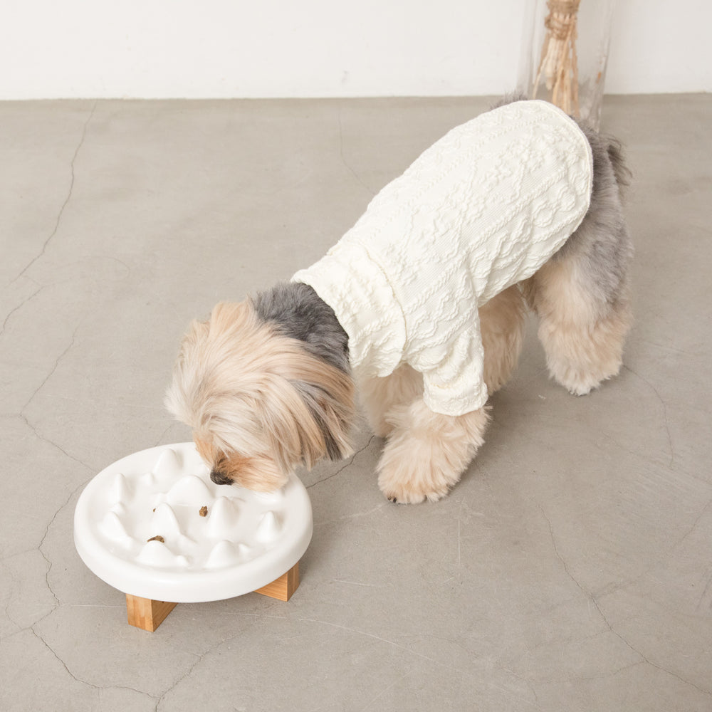 防止快速进食宠物食品碗