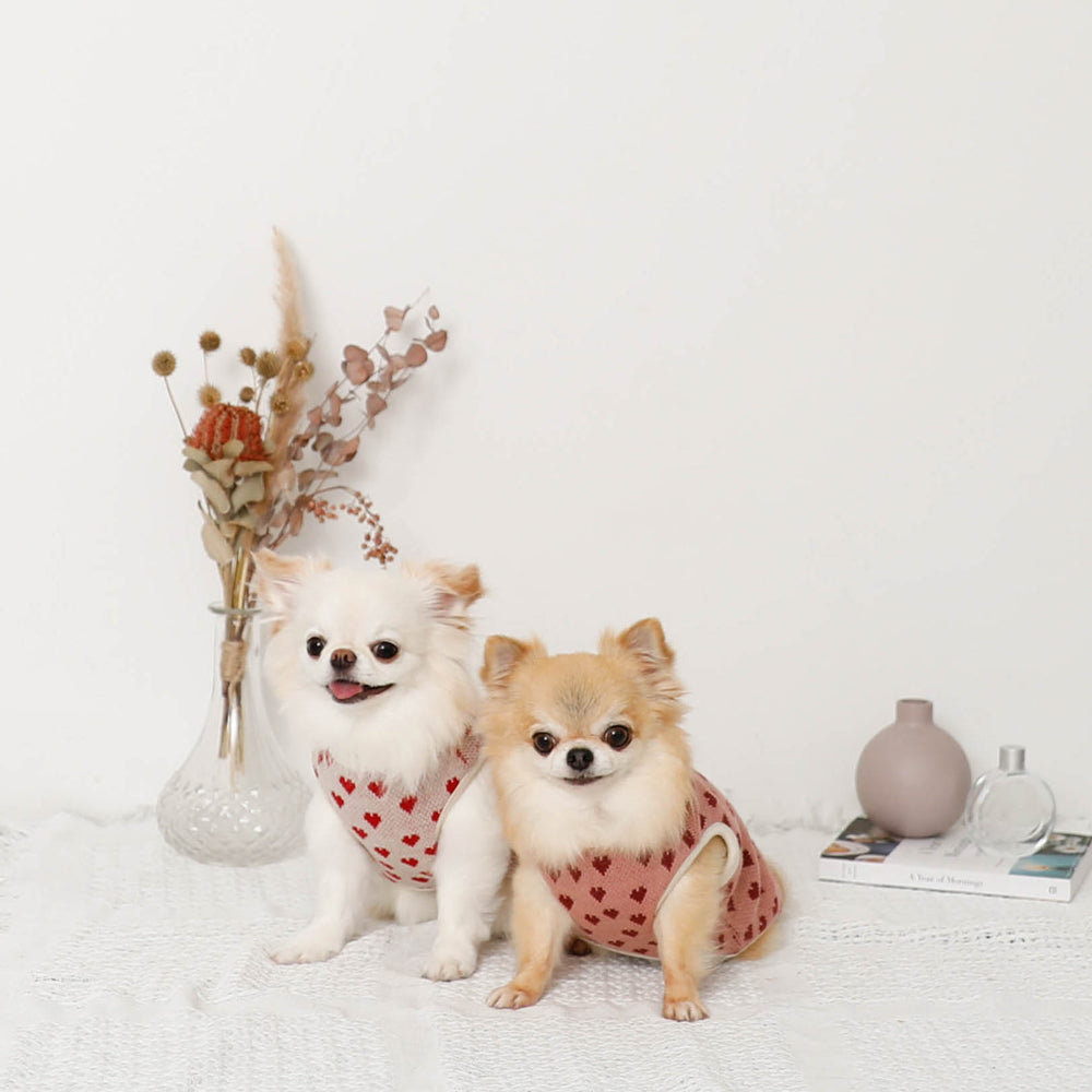 Heart pattern 2way reversible vest