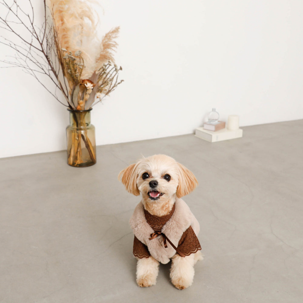 fur vest with ribbon