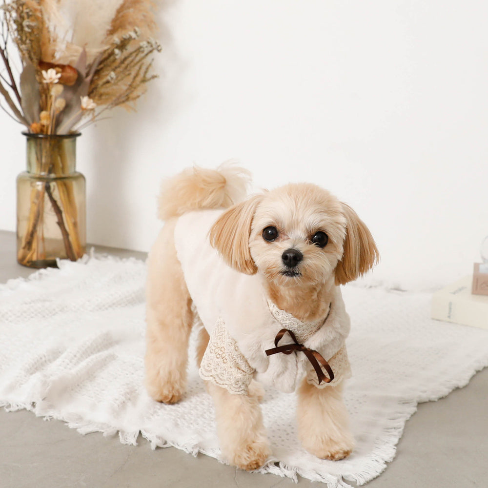 fur vest with ribbon