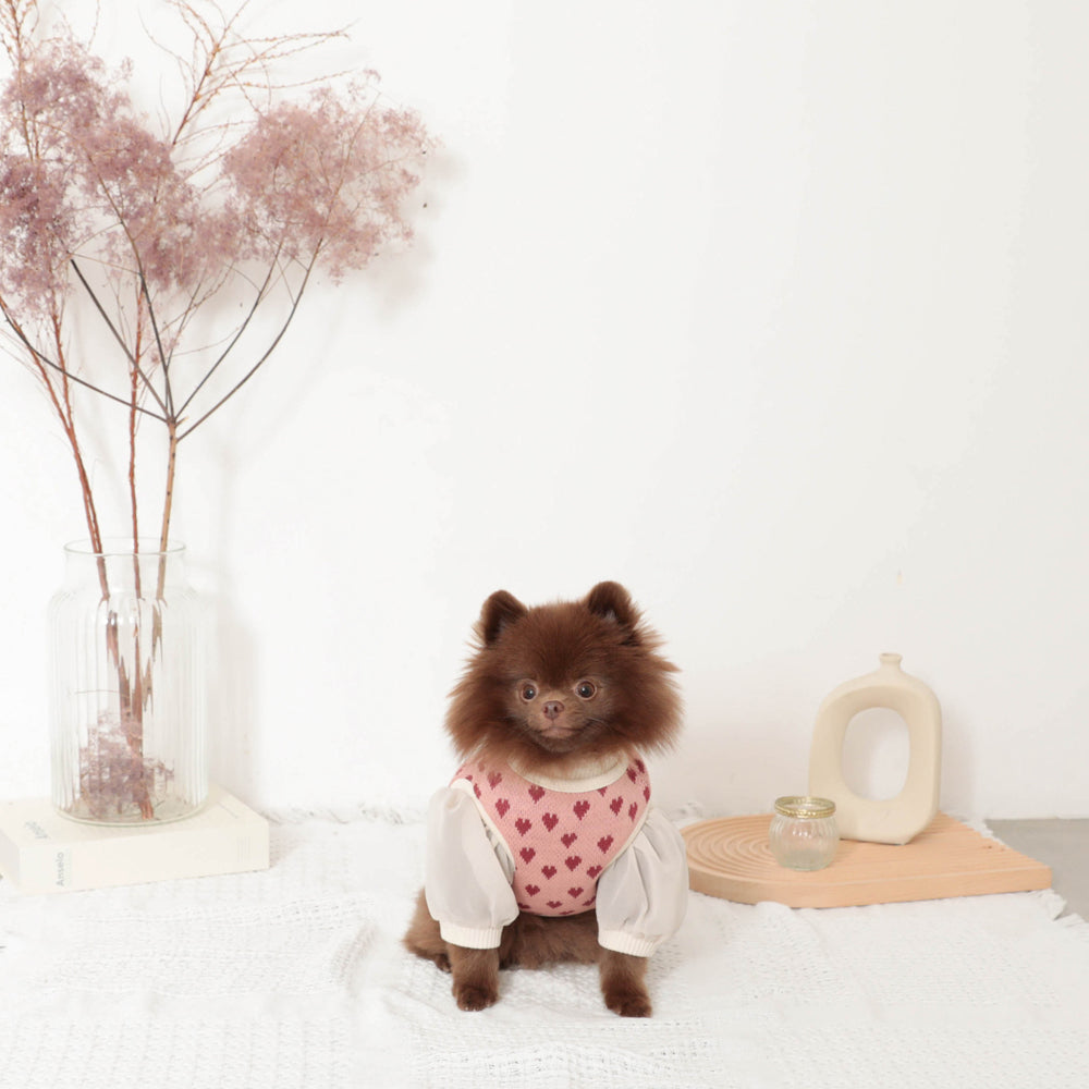 Heart pattern 2way reversible vest