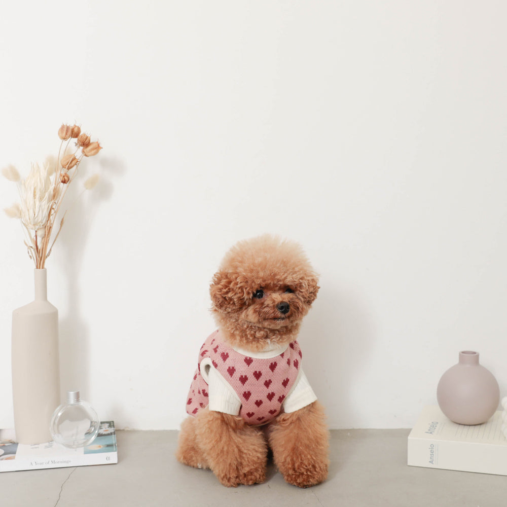 Heart pattern 2way reversible vest