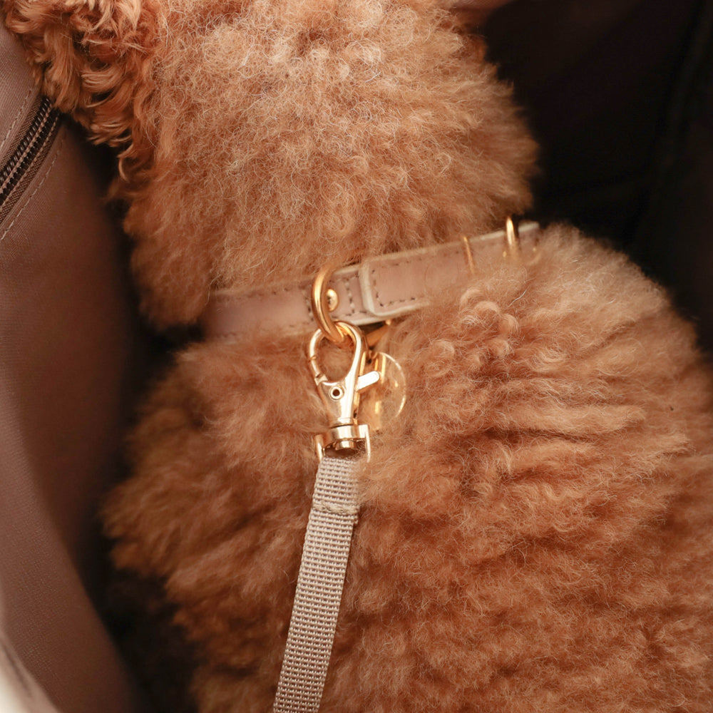 パイピングリュックキャリー