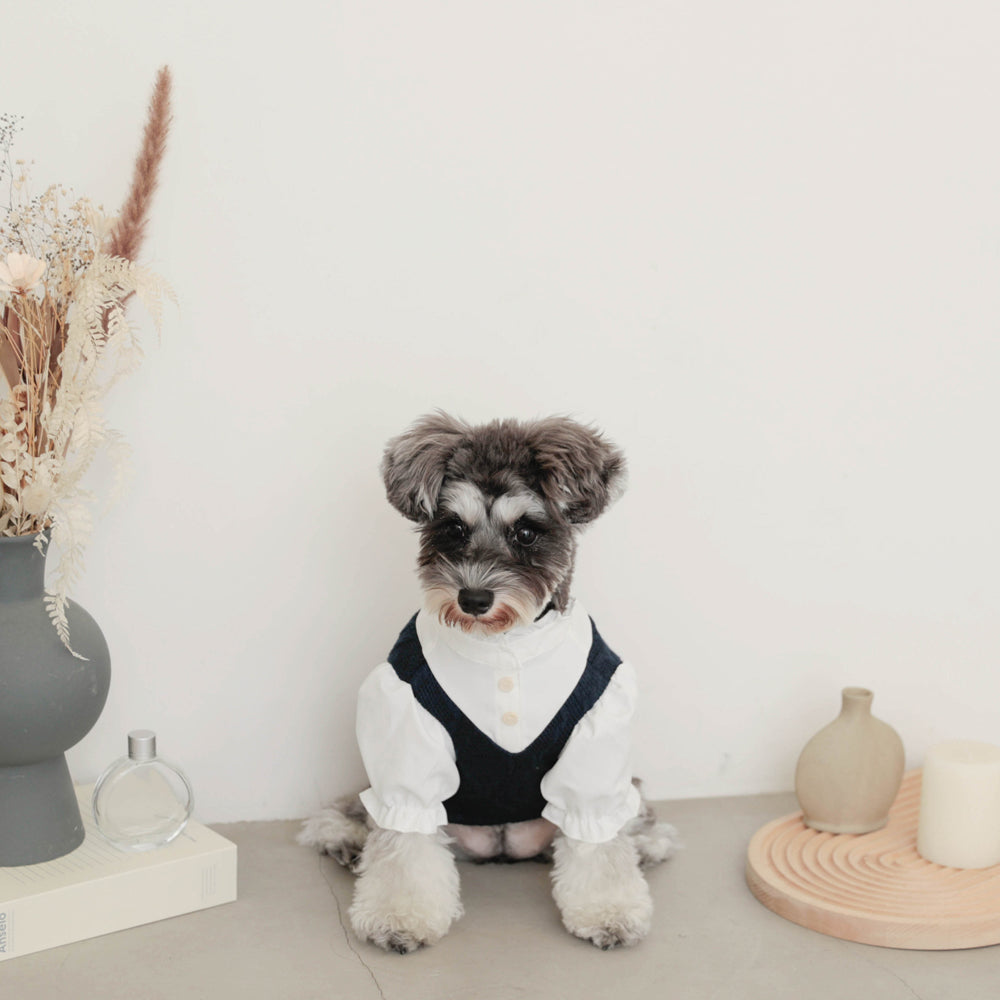 Ruffle stand collar shirt with collar