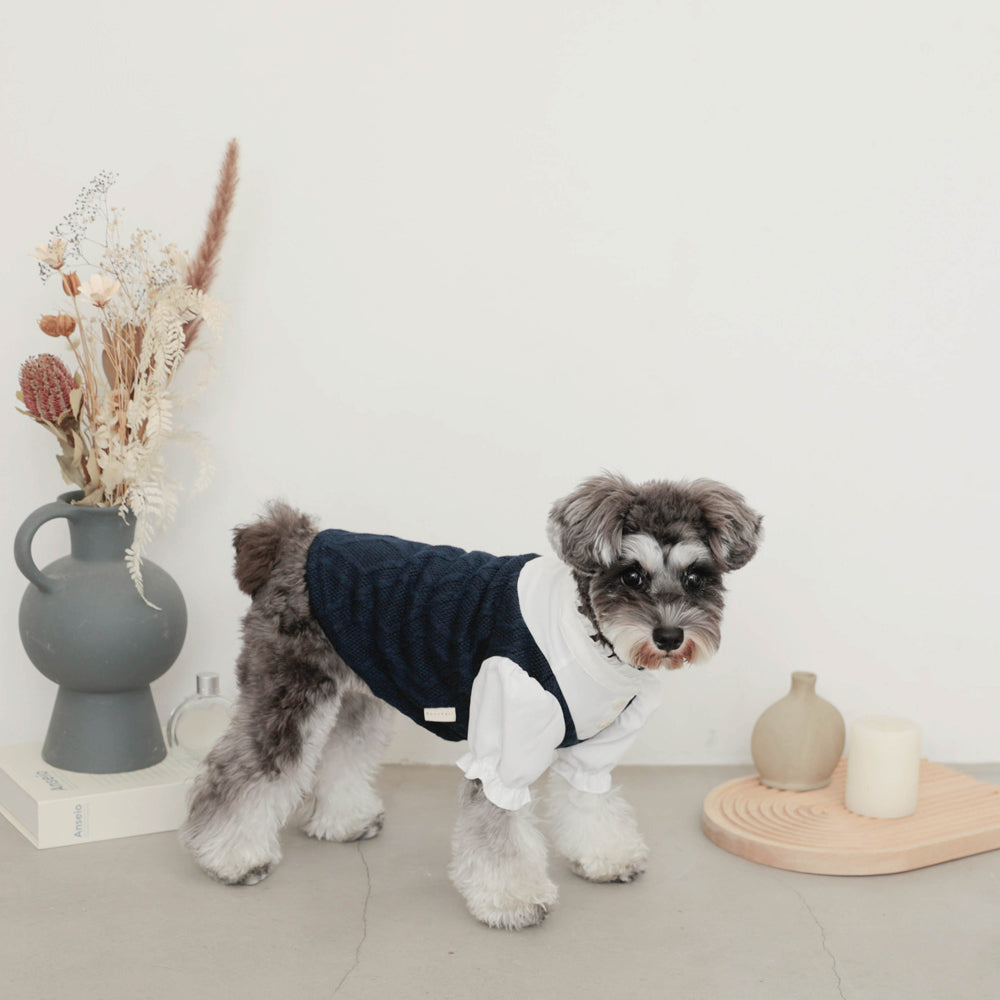 Ruffle stand collar shirt with collar