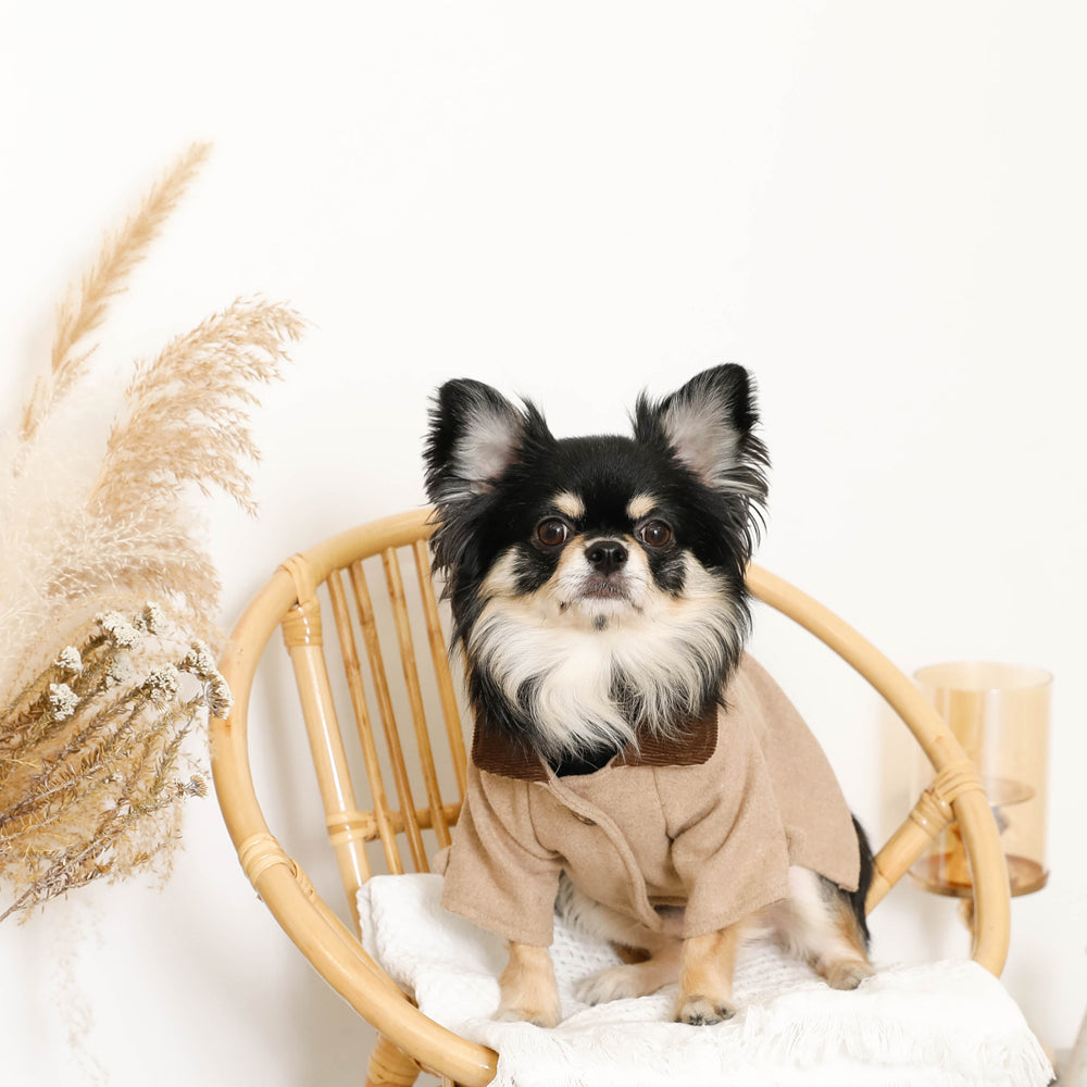 corduroy stainless steel collar coat