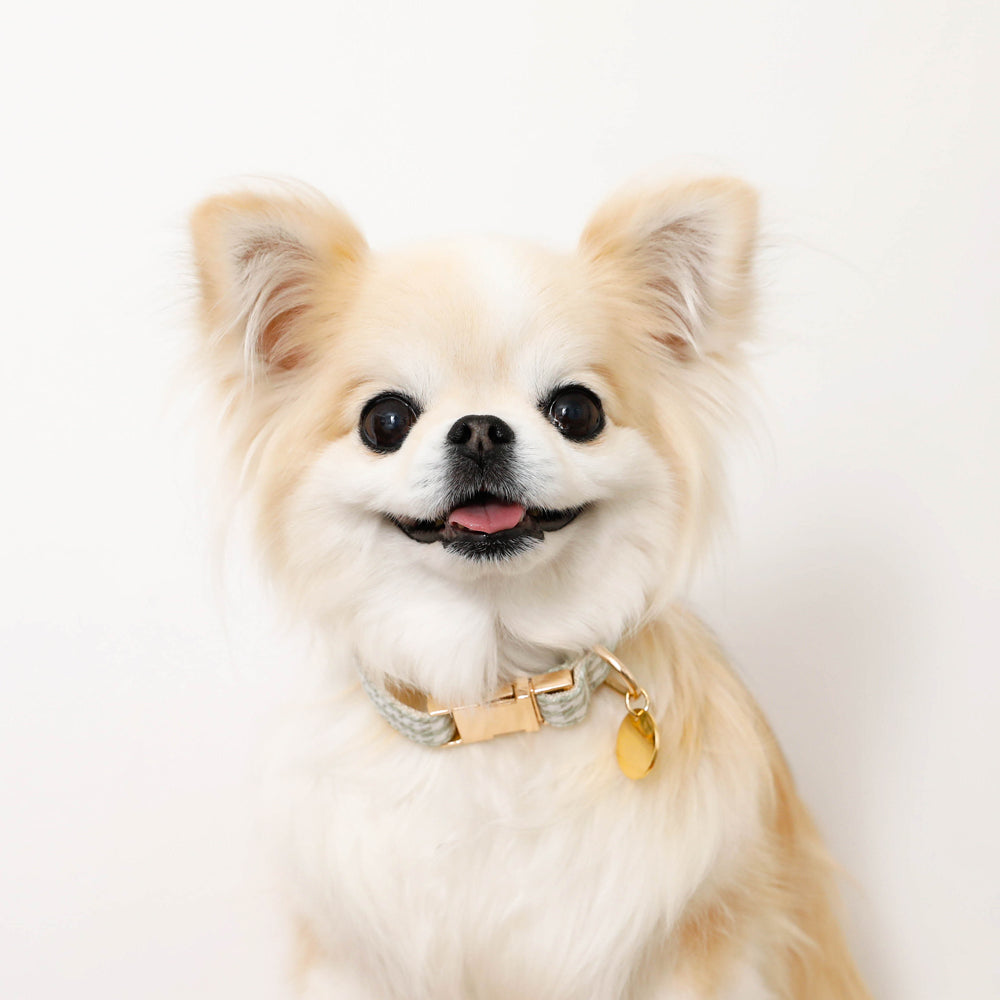 检查颜色+读取设置【名称雕刻对应】