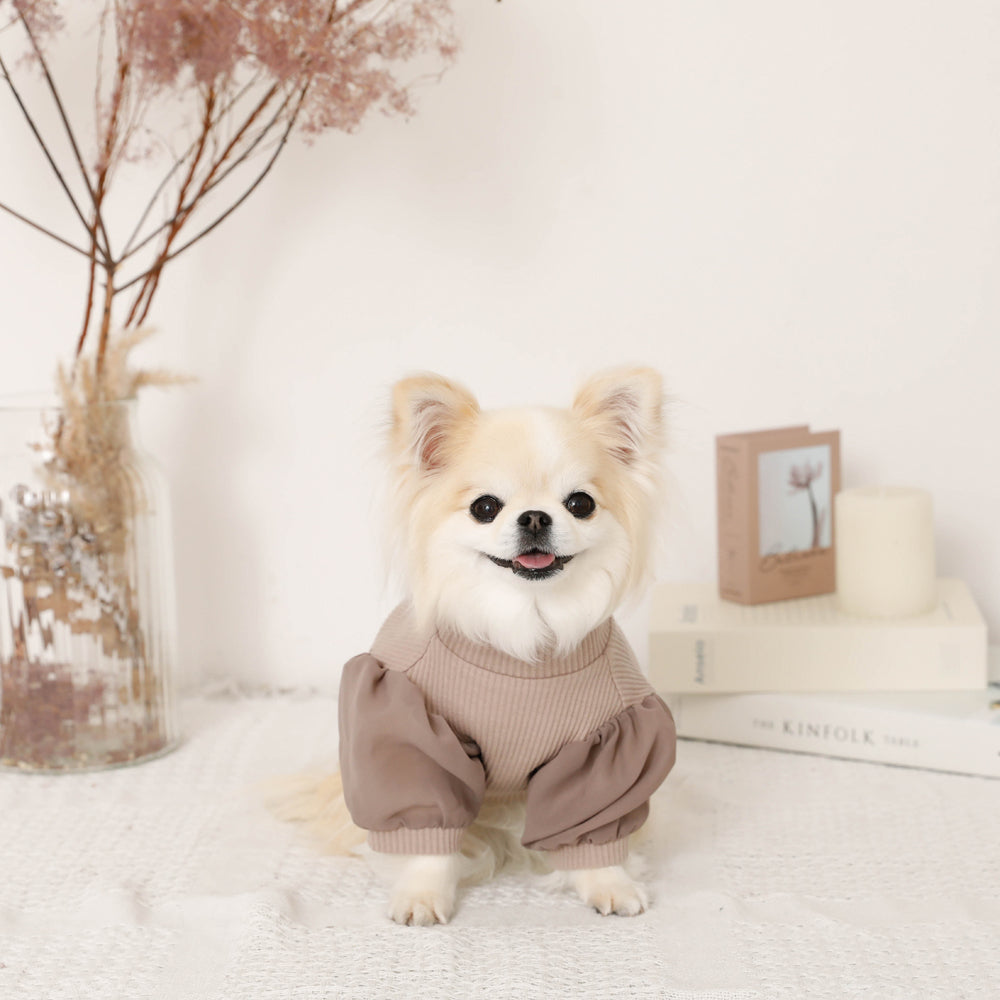 シフォンパフスリーブリブトップス