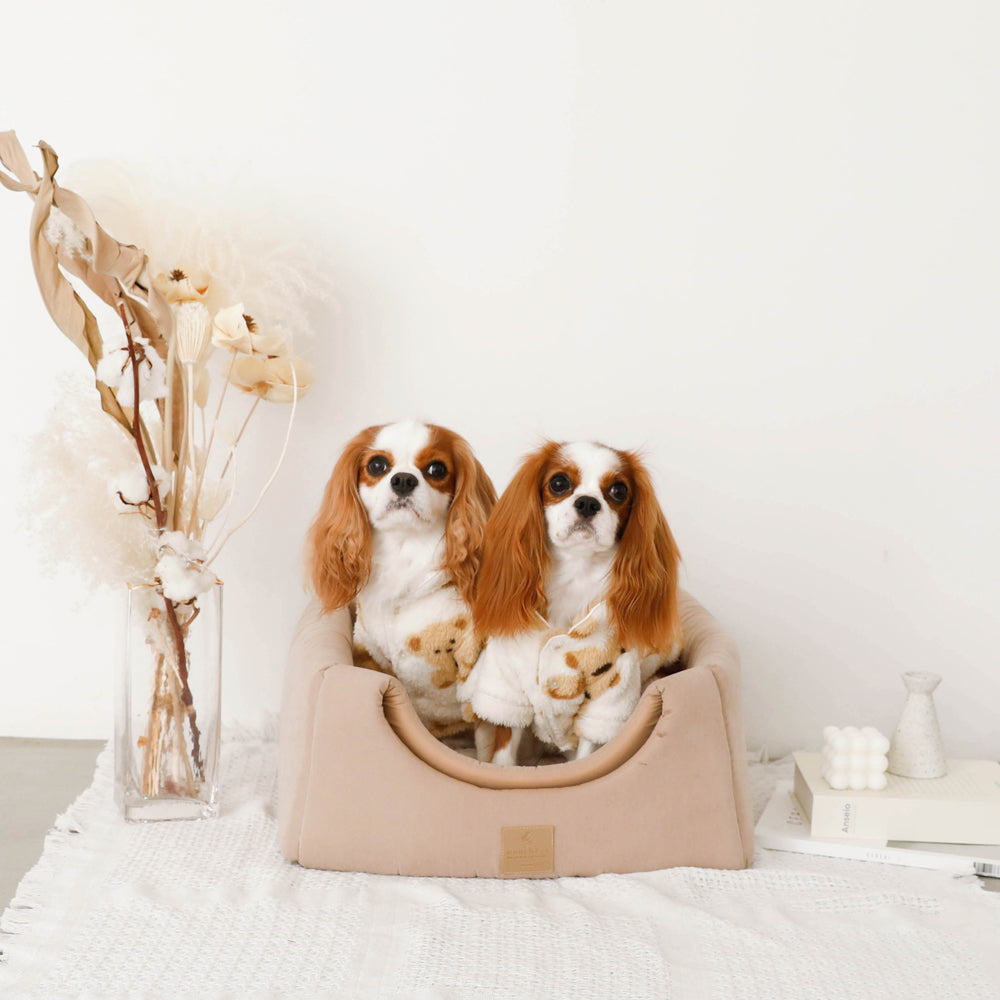 2way pet house