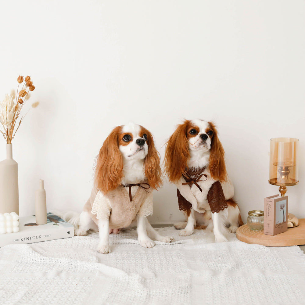 fur vest with ribbon