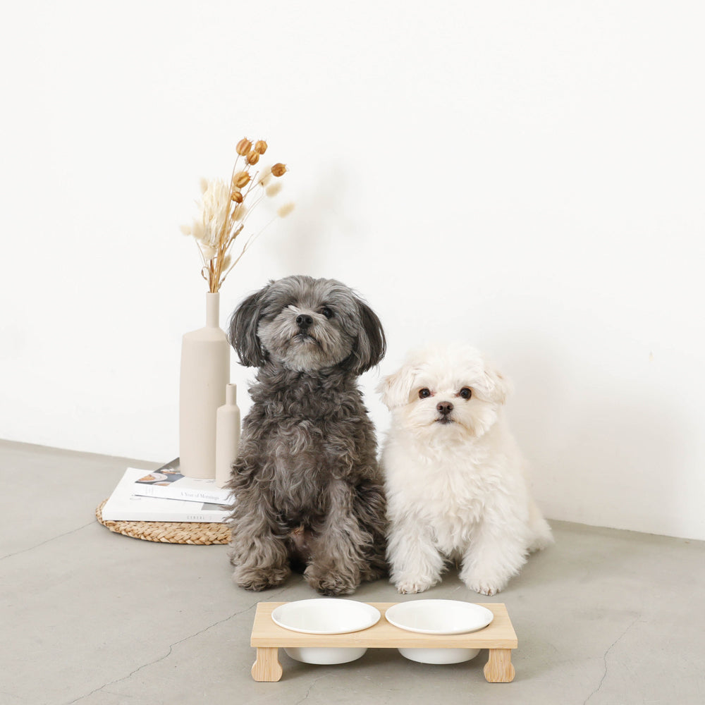 wood stand double food bowl