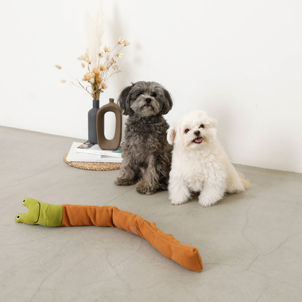 snail nosework toy