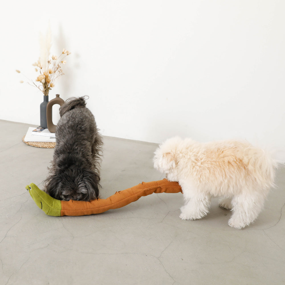 snail nosework toy